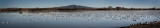 Flight Deck, Bosque del Apache