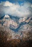 Frost on the Sandias