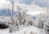 Corrales Village, New Mexico