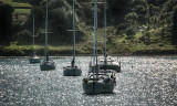 All Things Boats...Dockside