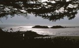 California Coast, 1978