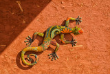 Decorative Lizard