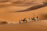 Camel Train