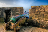 Cannon on the Ramparts