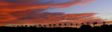 Desert Sunrise Pano