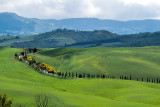 Classic Tuscan Landscape