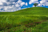 Green Hills of May