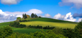 Tuscan Afternoon