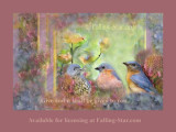 Bluebird family - available for licensing at Falling-Star.com