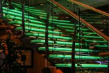 Glass Staircase