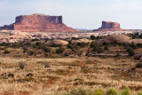 40D_6978_LR