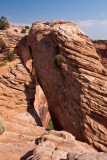 Mesa Arch