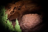 Ancient Grain Store House
