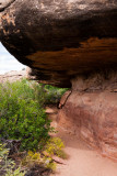 Hiking Trail
