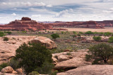 40D_7564_LR