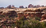 40D_7592_LR