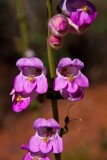40D_09249_LR