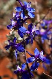40D_09261_LR