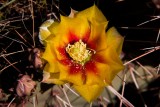 40D_09263_LR