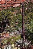 40D_09269_LR