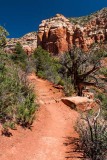 Our Hiking Trail
