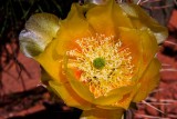 40D_09299_LR