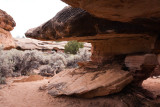 The Trail
