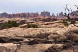 40D_7599_LR