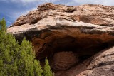 Ancient Grain Store House