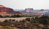 40D_6979_LR