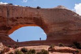 Wilson Arch