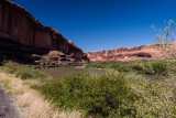 Colorado River Canyon