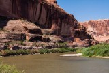 Colorado River Canyon