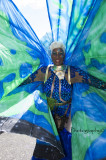 IMGP0240   Sherlon C Photographer copy.jpg
