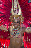 IMGP9548   Sherlon C Photographer copy.jpg
