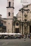 F1030031 copy.jpg