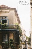 F1030034 copy.jpg