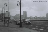 F1010022   Sherlon C Photographer.JPG