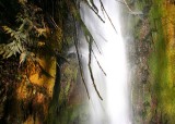 34 falls by lake cushman