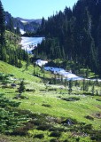 10 valley with avalanche lilies