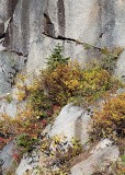 17 fall cliff