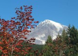 20 rainier view from longmire