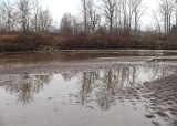 puyallup river january