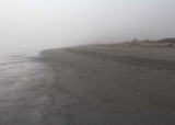 28 a big foggy beach