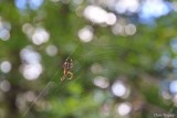 edited_web-1077 copy.jpg