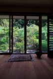 Garden as seen from the living room