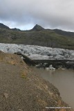 IMG_8910.JPG