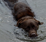 Kelley - Black Pond 8-15-14--ed-pf.jpg