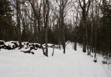 Nothern Headwaters Trail b 1-26-16-pf.jpg