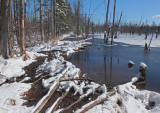 Beaver Pond Newman Hill-Hinds 3-22-16-pf.jpg